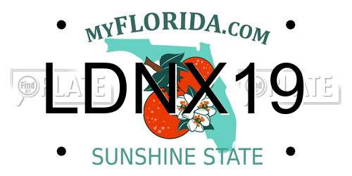 LDNX19 Florida License Plate