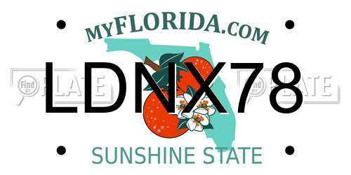 LDNX78 Florida License Plate