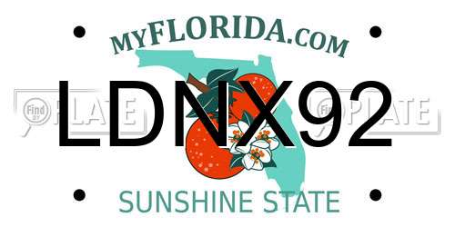 LDNX92 Florida License Plate