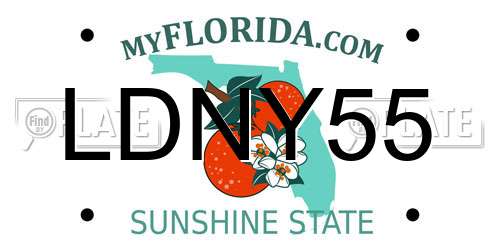 LDNY55 Florida License Plate