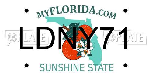 LDNY71 Florida License Plate