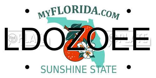 LDOZOEE Florida License Plate