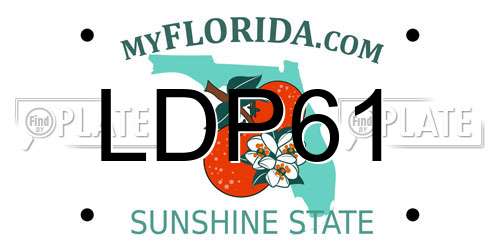 LDP61 Florida License Plate