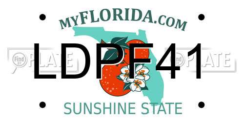 LDPF41 Florida License Plate