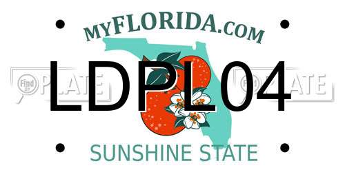 LDPL04 Florida License Plate