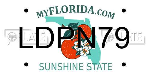 LDPN79 Florida License Plate