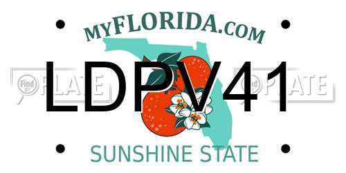 LDPV41 Florida License Plate