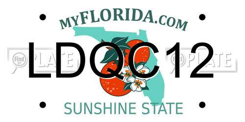 LDQC12 Florida License Plate