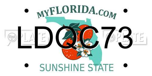 LDQC73 Florida License Plate