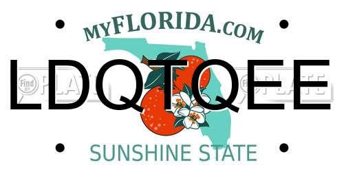 LDQTQEE Florida License Plate