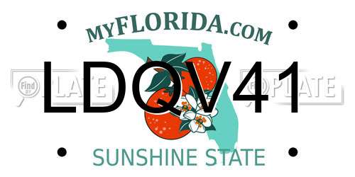 LDQV41 Florida License Plate