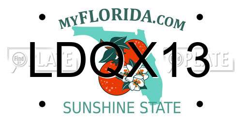 LDQX13 Florida License Plate