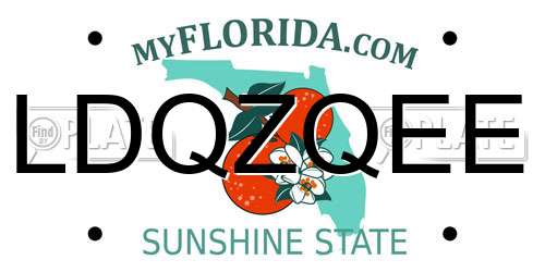 LDQZQEE Florida License Plate