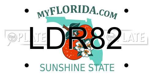LDR82 Florida License Plate