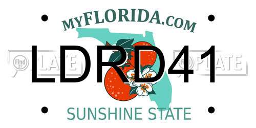 LDRD41 Florida License Plate