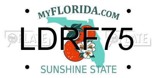 LDRF75 Florida License Plate