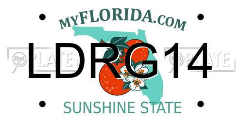 LDRG14 Florida License Plate