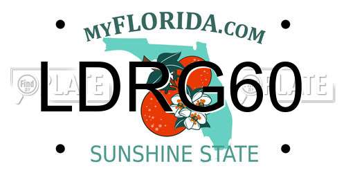 LDRG60 Florida License Plate