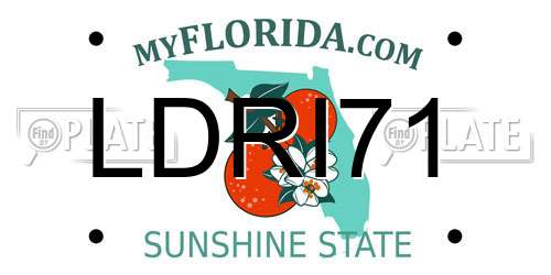 LDRI71 Florida License Plate