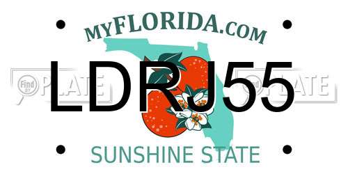 LDRJ55 Florida License Plate