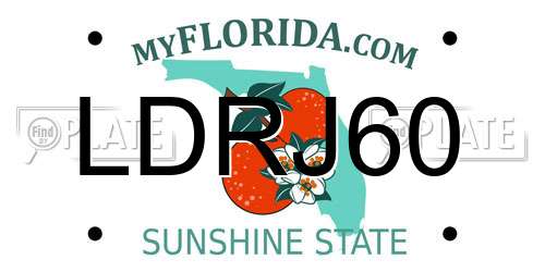 LDRJ60 Florida License Plate