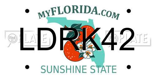 LDRK42 Florida License Plate