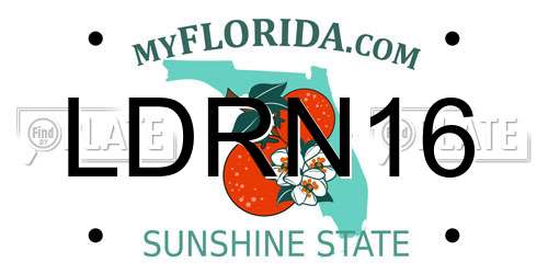 LDRN16 Florida License Plate