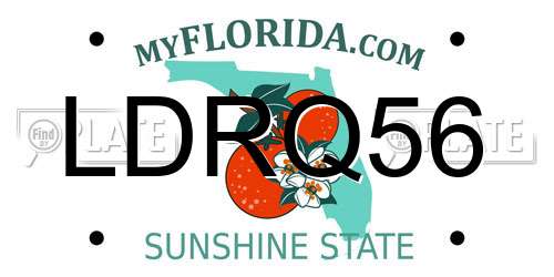 LDRQ56 Florida License Plate