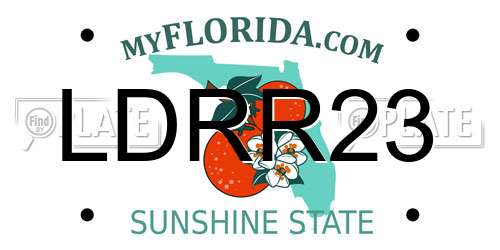 LDRR23 Florida License Plate
