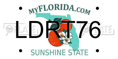 LDRT76 Florida License Plate