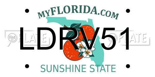 LDRV51 Florida License Plate