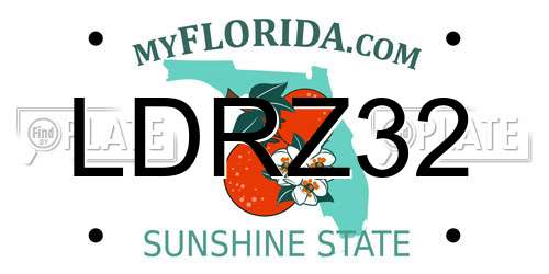 LDRZ32 Florida License Plate