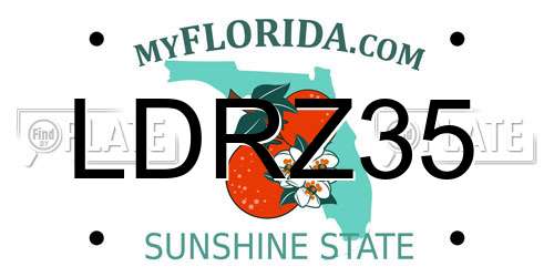 LDRZ35 Florida License Plate