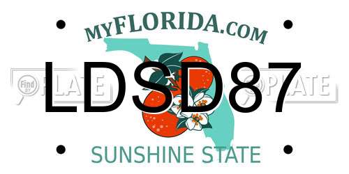 LDSD87 Florida License Plate