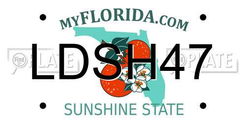 LDSH47 Florida License Plate