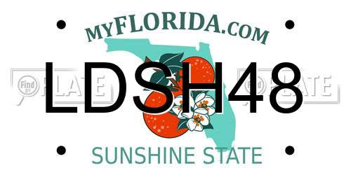LDSH48 Florida License Plate