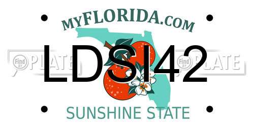 LDSI42 Florida License Plate