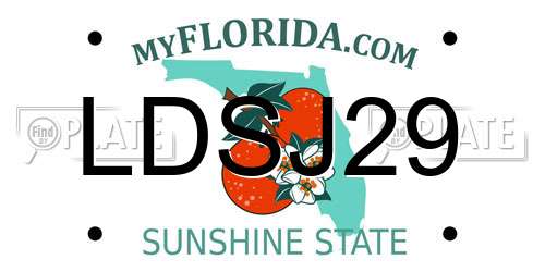 LDSJ29 Florida License Plate