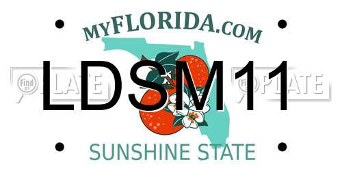 LDSM11 Florida License Plate