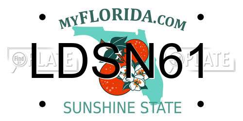 LDSN61 Florida License Plate
