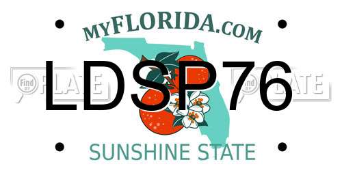 LDSP76 Florida License Plate