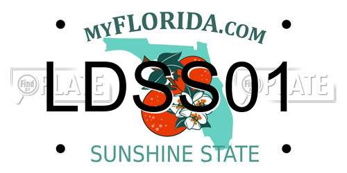 LDSS01 Florida License Plate