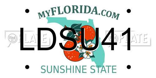 LDSU41 Florida License Plate