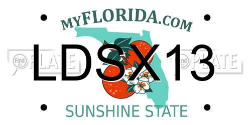 LDSX13 Florida License Plate