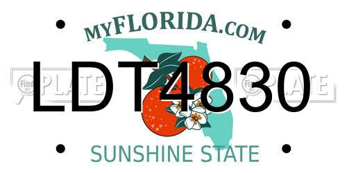 LDT4830 Florida License Plate