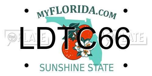 LDTC66 Florida License Plate