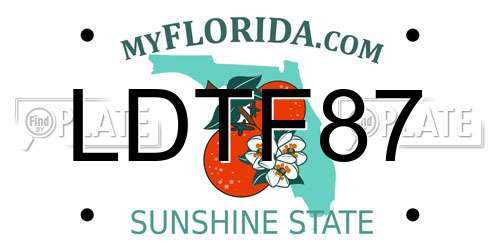 LDTF87 Florida License Plate