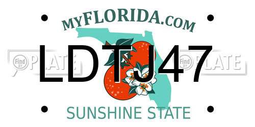 LDTJ47 Florida License Plate