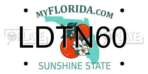 LDTN60 Florida License Plate