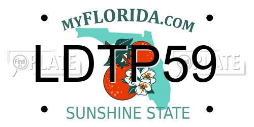 LDTP59 Florida License Plate